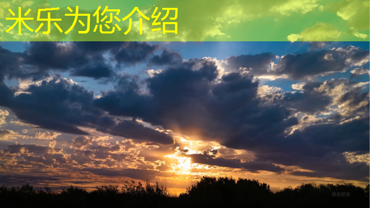<strong>米乐为您介绍：南充工程塑胶跑道价格</strong>