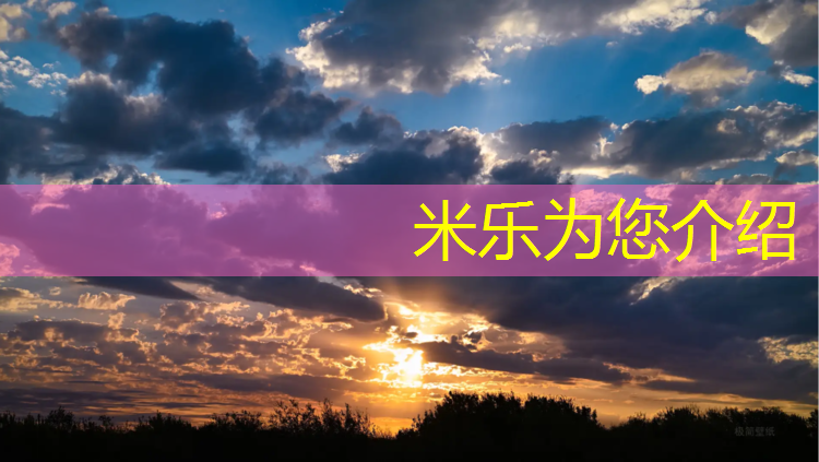 <strong>米乐为您介绍：陕西优势塑胶跑道工程</strong>