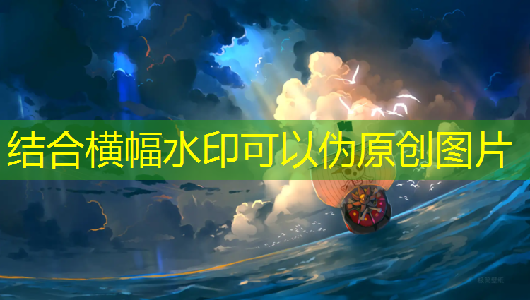 单拆式乒乓球台